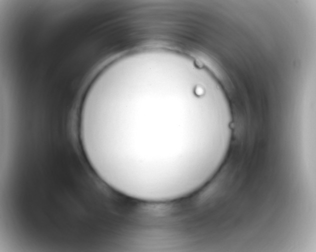 X0000088151094200706041350