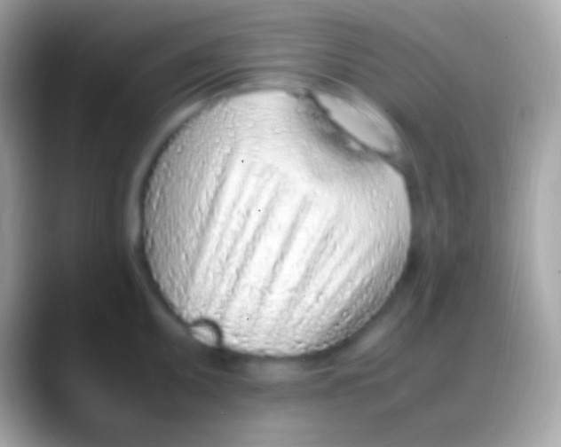 X0000088151095200706041350