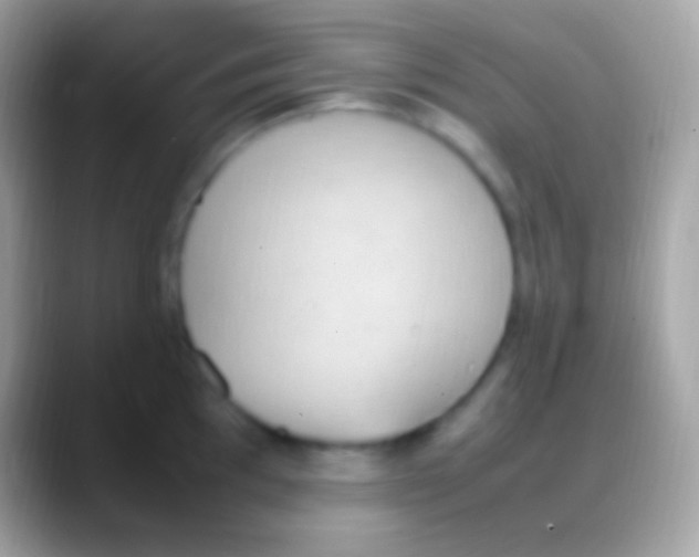 X0000088151097200706041350