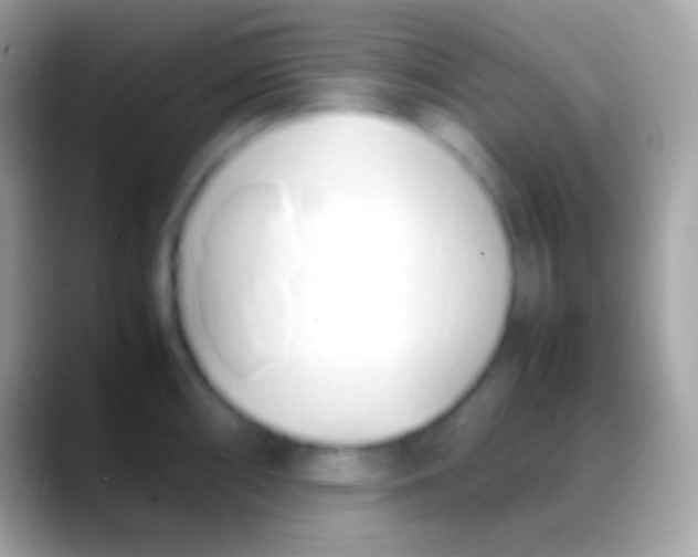 X0000088151098200706041350