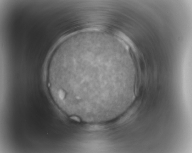 X0000088151099200706041350