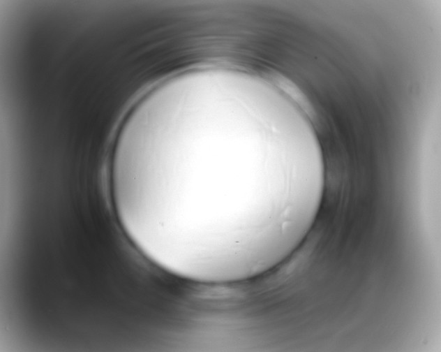 X0000088151100200706041350