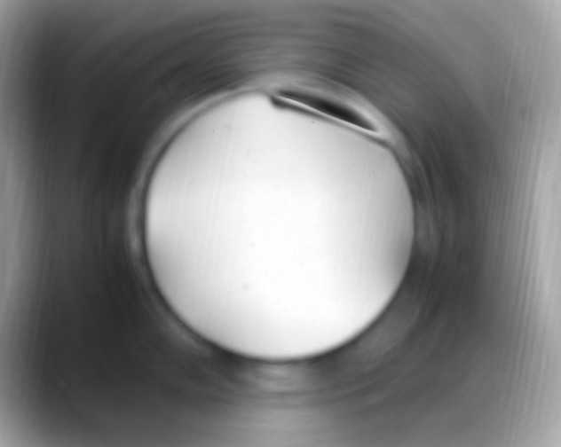 X0000088151102200706041350