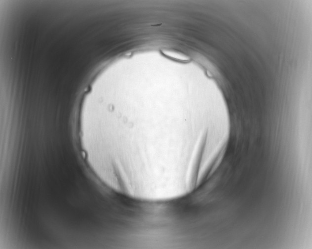 X0000088151103200706041350