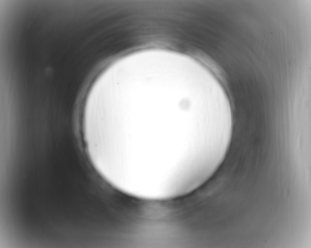 X0000088151104200706041350