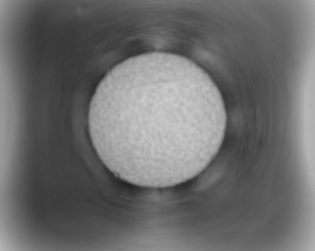 X0000088151105200706041350