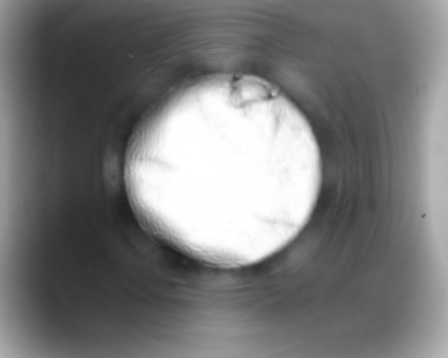 X0000088151106200706041350