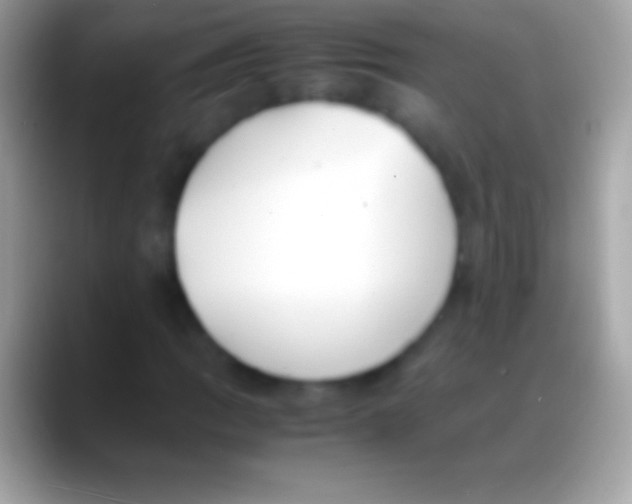 X0000088151109200706041350