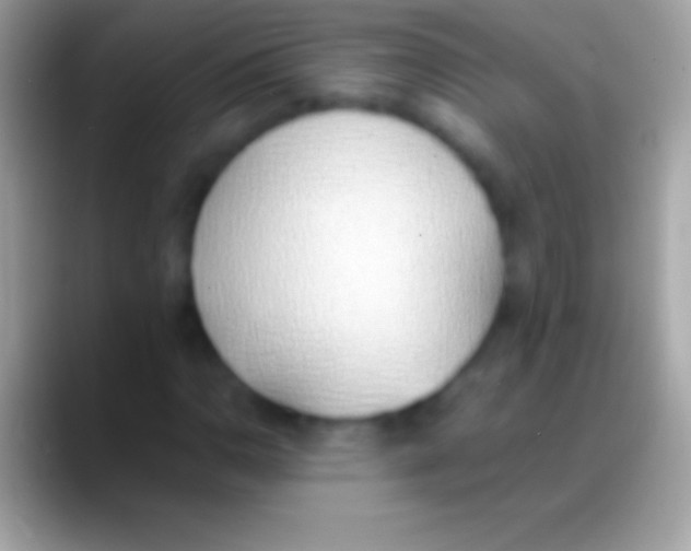 X0000088151110200706041350