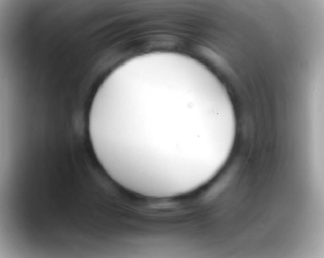 X0000088151113200706041350