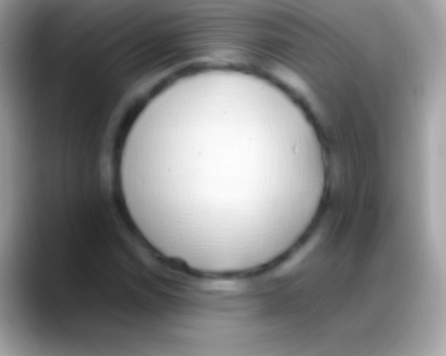 X0000088151114200706041350