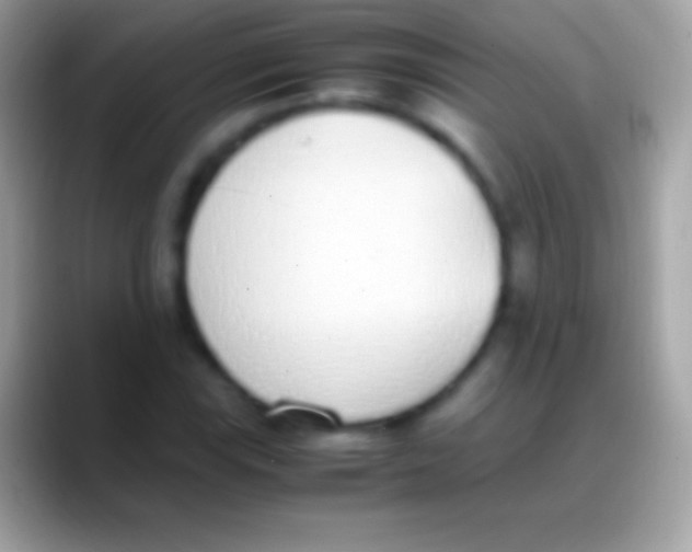 X0000088151115200706041350