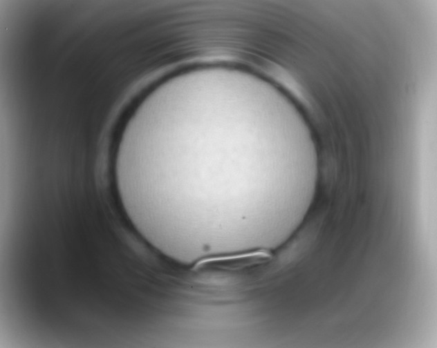 X0000088151116200706041350