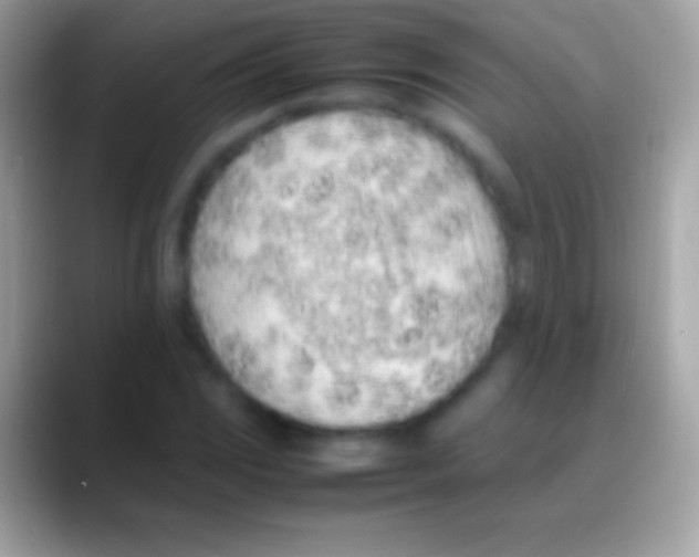 X0000088151117200706041350