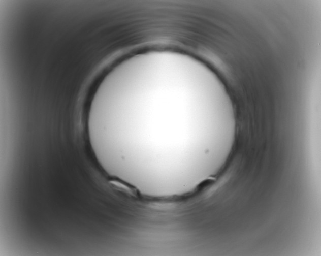 X0000088151118200706041350