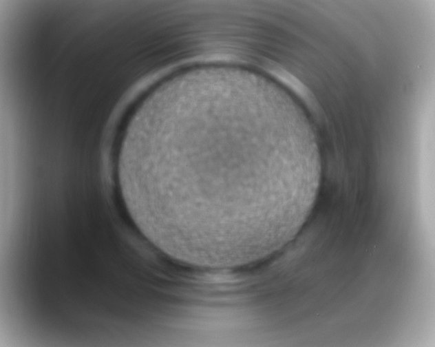 X0000088151120200706041350