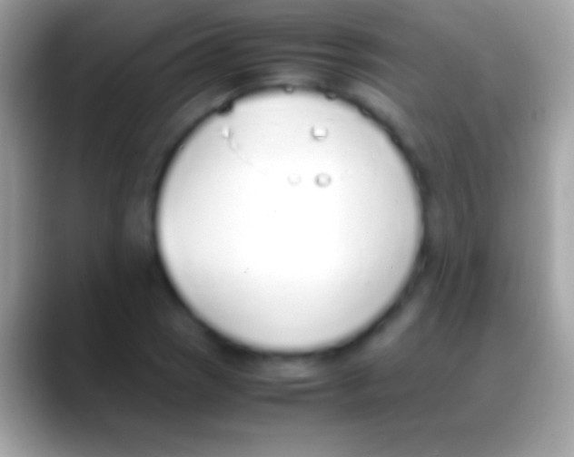 X0000088151121200706041350