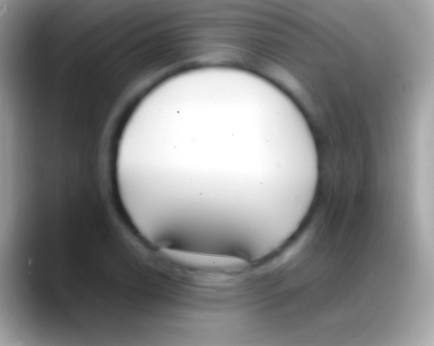 X0000088151122200706041350