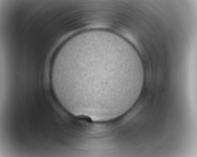 X0000088151124200706041350