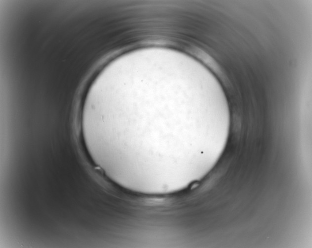 X0000088151132200706041350