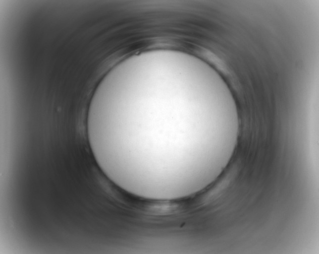 X0000088151137200706041350