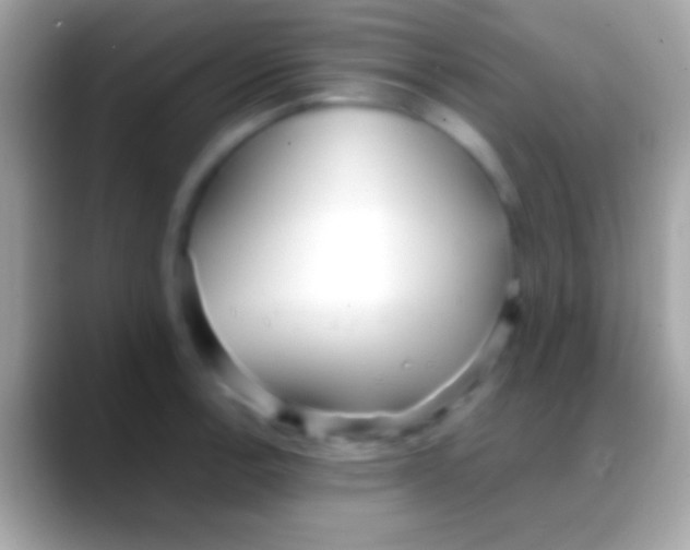 X0000088151138200706041350