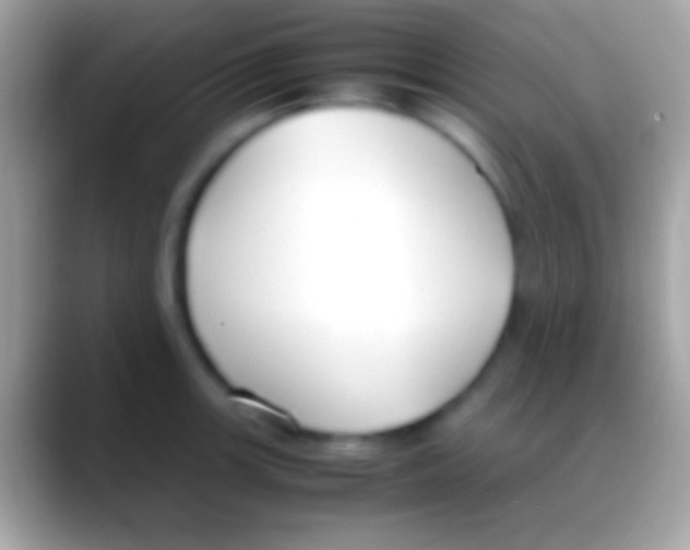 X0000088151139200706041350