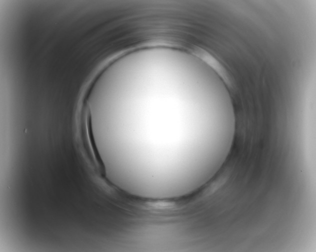 X0000088151140200706041350