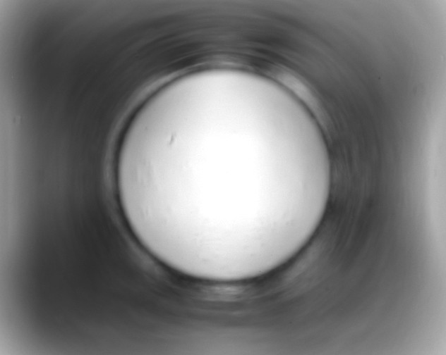 X0000088151141200706041350