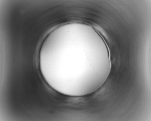 X0000088151143200706041350