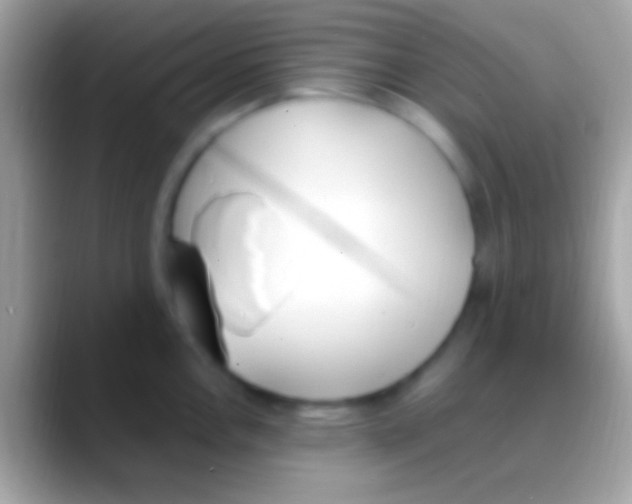 X0000088151146200706041350