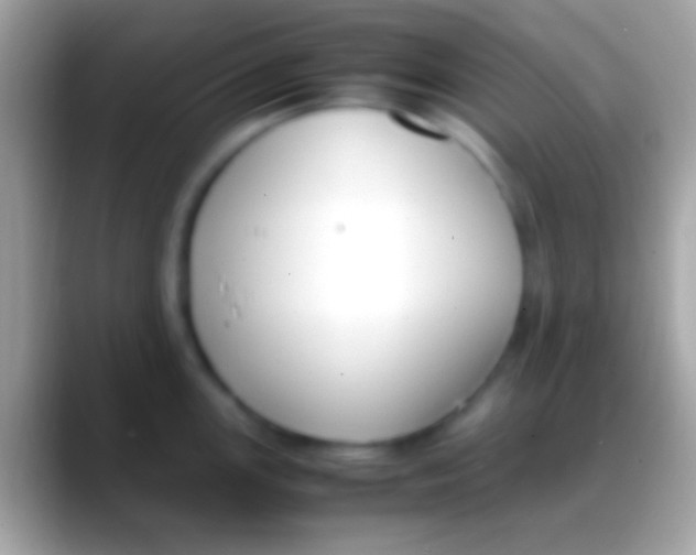 X0000088151147200706041350