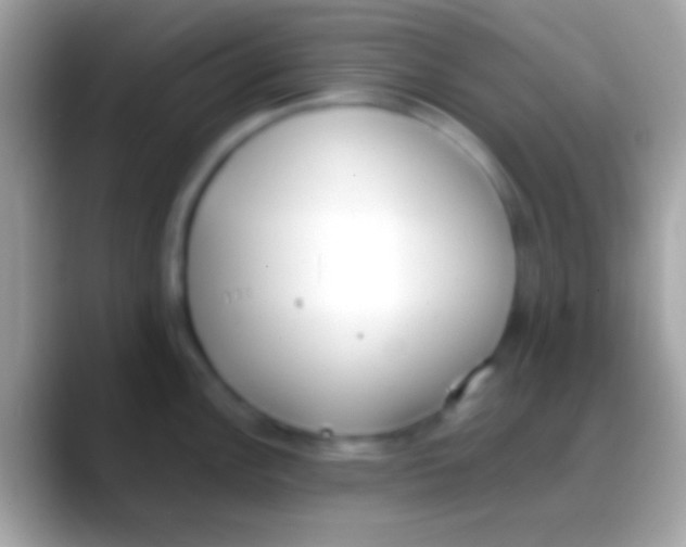 X0000088151148200706041350