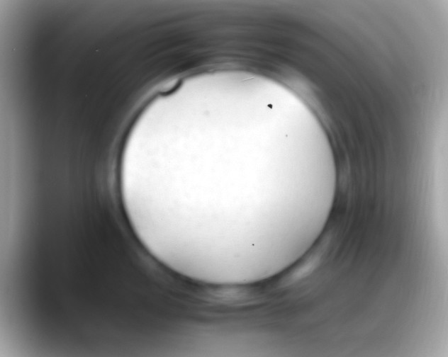 X0000088151149200706041350