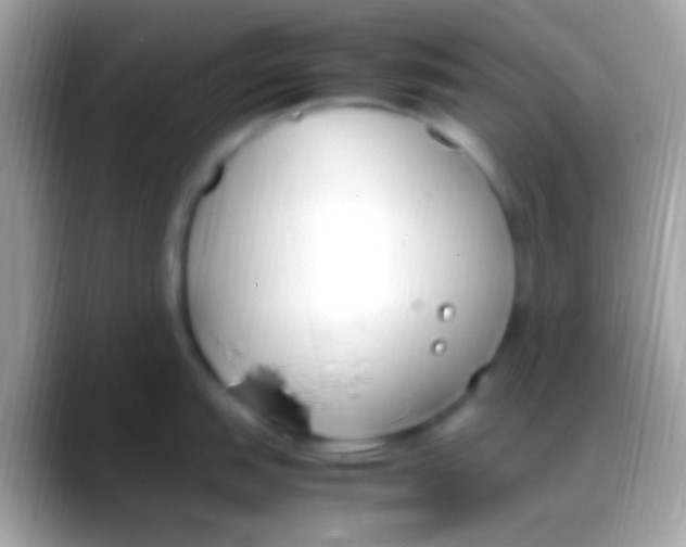 X0000088151151200706041350