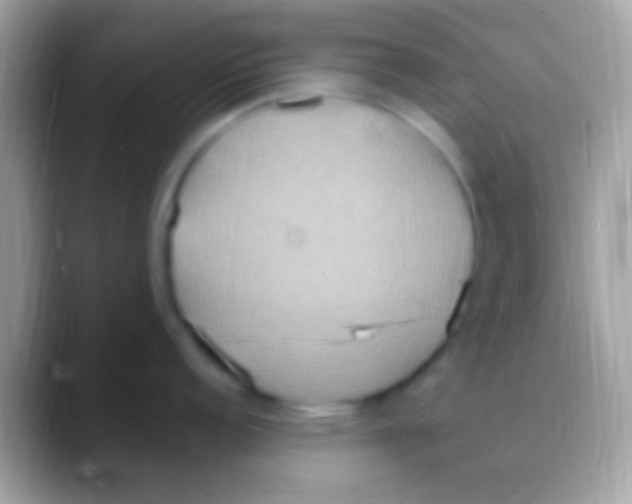 X0000088151152200706041350