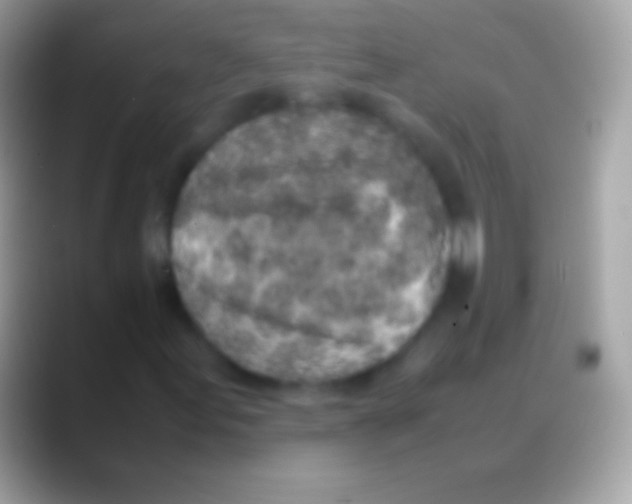 X0000088151155200706041350