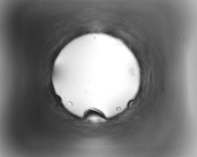 X0000088151157200706041350