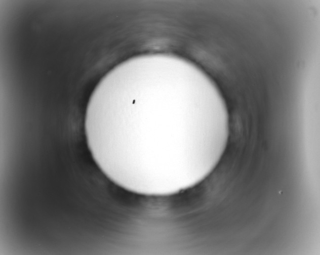 X0000088151158200706041350