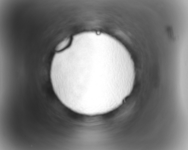 X0000088151159200706041350