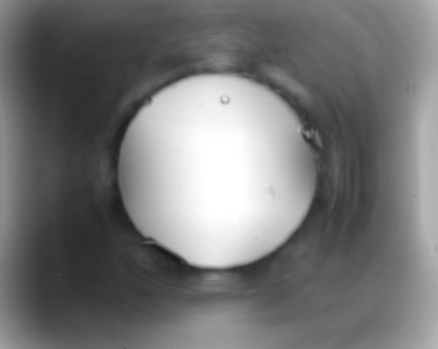 X0000088151160200706041350