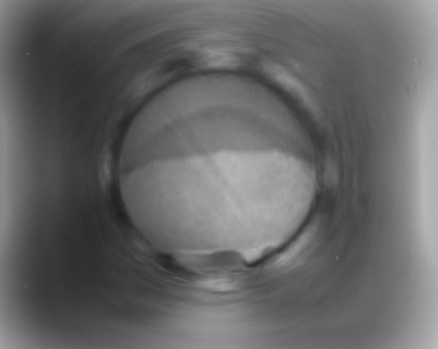 X0000088151161200706041350