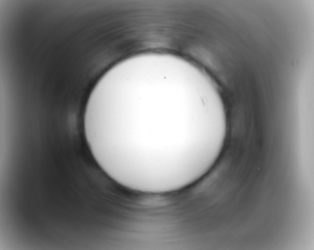 X0000088151162200706041350