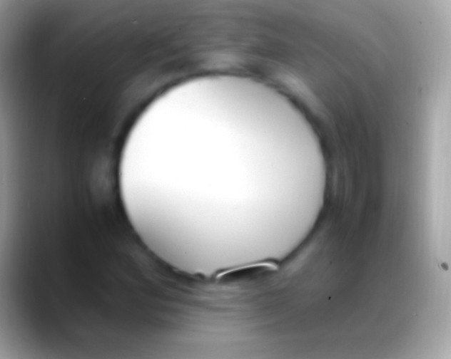 X0000088151164200706041349