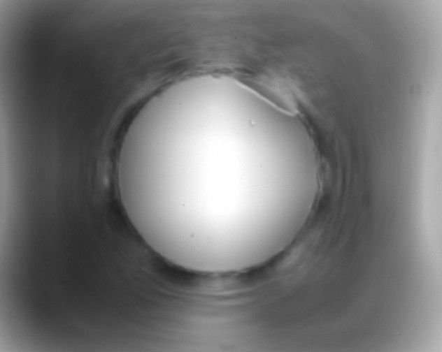 X0000088151165200706041349