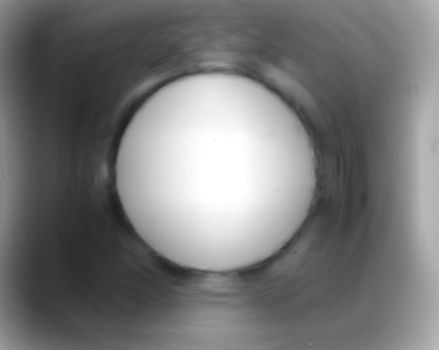 X0000088151166200706041349