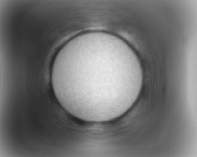 X0000088151167200706041349