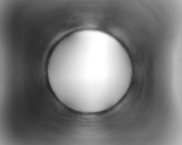 X0000088151168200706041349