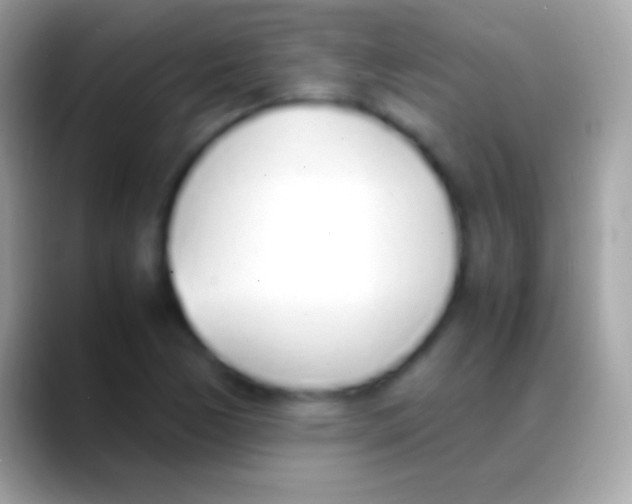 X0000088151170200706041349