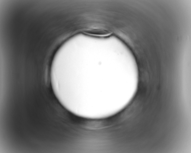 X0000088151171200706041349